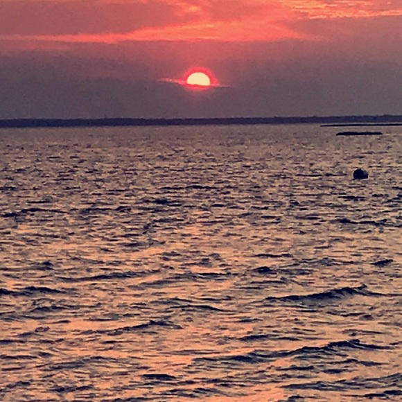 Meet your Posher, Kathryn - Picture 1 of 1